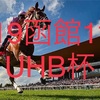 6/19函館11R UHB杯