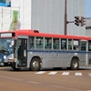 新潟交通観光バス / 新潟22か 1295