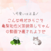 こんな時だからこそ亀梨和也×茶碗蒸しちゃんの動画で癒されようぜ