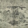 書籍/廿四孝（渓斎英泉）・4　郭巨