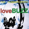 lovebuzz-THE HUMMINGBIRDS(CD)