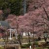 桜のある風景。。。①