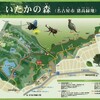 猪高緑地を歩く