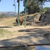 オークランド動物園はオススメ