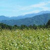 新蕎麦についてのお知らせ。