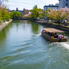 京都市長賞をいただいた写真が京都新聞に載りました🤩