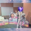 【映画】ギャビーのドールハウスの映画へ〜ぽこあポケモンの圧