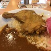 すき家のほろほろチキンカレーが本当にほろほろスパイシーだった　＠長沼　すき家