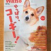 Wan5　やっぱり、コーギー！