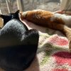 くすり箱のお尻とお腹
