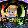 ハロウィーンワゴン