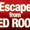 【脱出レポ】『Escape from The RED ROOM』に参加した感想