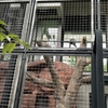 王子動物園　2024.9　その2