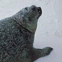 もっとアザとく、自分ラシく