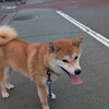 いろいろしみる貴重な夏