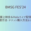 BMSG FES'24　応援上映会＆HULUライブ配信の視聴方法について調べました