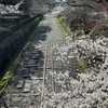 京都ぶらり　人気　蹴上インクライン