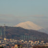 高崎公園周辺散歩　浅間山・榛名山・有明の月