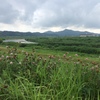 小矢部〜津沢〜福野〜井波〜庄川