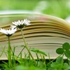 【管理職におすすめ！】ハラスメント対策本５選！パワハラ加害者にならないために🌻
