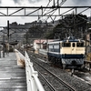 ＥＦ６５１１０３　魚籃観音と雨の早川駅