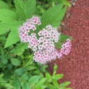 plant-raspberrypi3のブログ