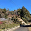 米満横穴墓群Ⅲ-9,10支群  長南町米満