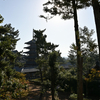 柿食わず鐘鳴らずとも法隆寺…その３