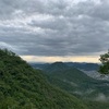 登ってみたシリーズ　金華山編