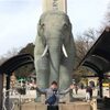 １月のOPE件数と多摩動物公園