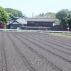 田んぼ風景