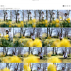 なるはちゃんのデータをAmazon Photosにアップロードしました！