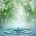 日々の暮らし blog