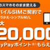 【終了日未定】ワイモバイルにSIMのみ乗り換えで20,000ポイント還元