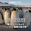 外出自粛の友に。ペンギン動画集。