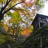 古知谷阿弥陀寺