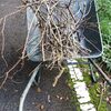 大雨の後の後始末。
