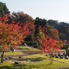 霊園風景　その38　　「‥秋の訪れと　お墓たち」