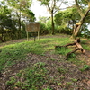  六ヶ岳 六獄神社上宮へ登った（その3 最終回）　福岡県宮若市龍徳・鞍手町長谷