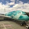 【ANA フライング・ホヌ】2019年 ホノルル － 成田 NH183 A380型機【エコノミー 機内食】