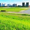 草木のあるエリアと人手不足対策