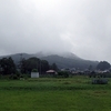 雨の日和田山と巾着田