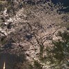 夢をもって大切に１日１日を生きていこう（木村耕一『こころの朝』の感想）