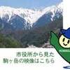 ・北沢陣営と市職労の動き