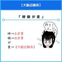 交感神経が関わる脊髄部位のゴロ 覚え方 薬学ゴロ 薬学部はゴロでイチコロ