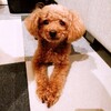 寝る前の過ごし方♪