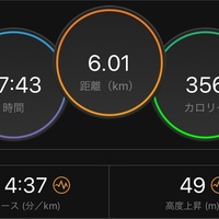 Bs日テレ サブ4 函館マラソンの結果 3人娘の親父が走る いつだって全力中年 Bs日テレ サブ4 函館マラソンの結果 3人娘の親父が走る いつだって全力中年