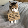 なんか疲れたわ～～(;´Д｀)：