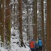 のろやまさんの土佐遊山　一瀑凍る