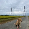 台風一過したんだよね？？？